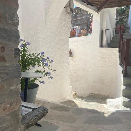 Villa Persephone Ioulis Exterior foto
